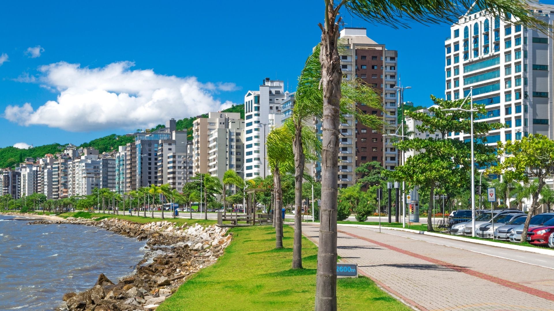 valor da lente de contato dental atualizado