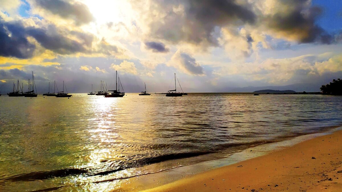 Ilustração mostrando a correta higiene e manutenção de um implante dental para garantir saúde gengival e durabilidade do tratamento