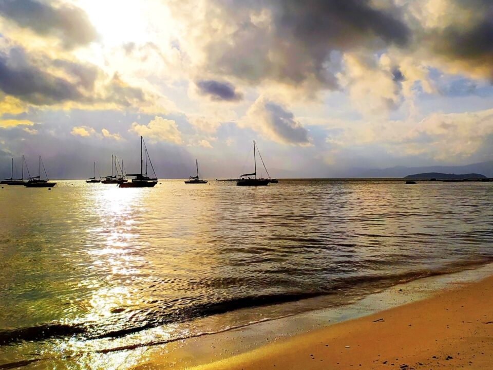 Ilustração mostrando a correta higiene e manutenção de um implante dental para garantir saúde gengival e durabilidade do tratamento