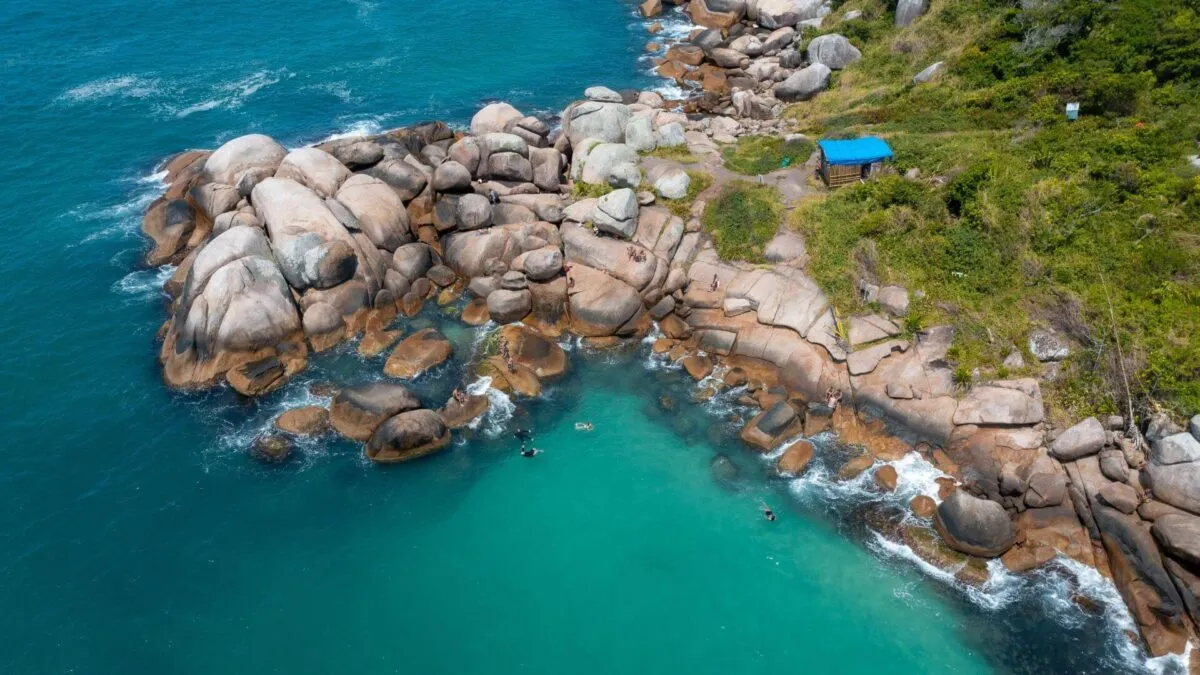 rejeição de implante dentário