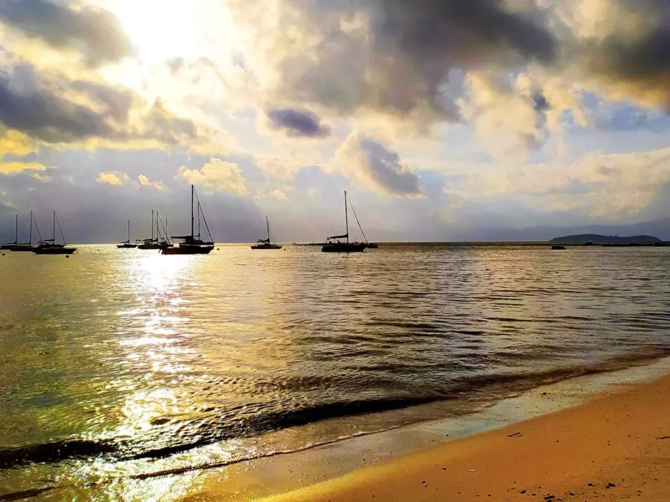 Ilustração mostrando a correta higiene e manutenção de um implante dental para garantir saúde gengival e durabilidade do tratamento